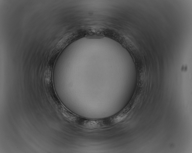 X0000088850129200706291504