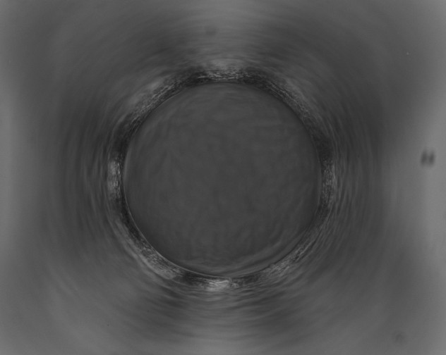 X0000088850130200706291504