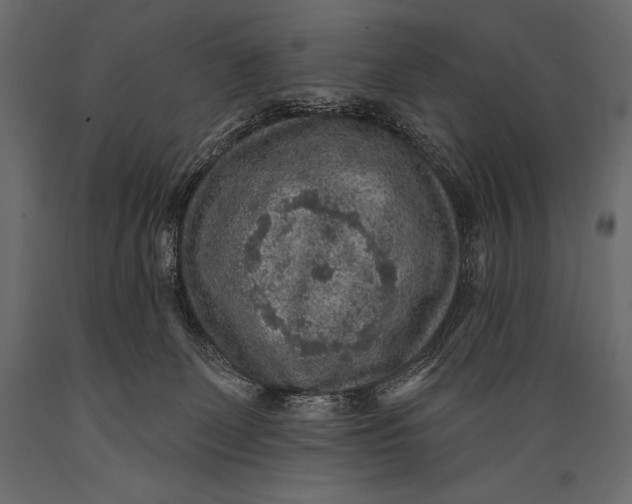 X0000088850131200706291504