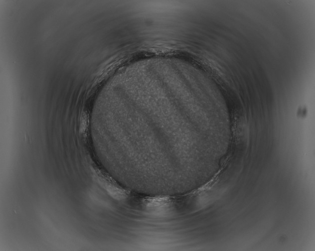 X0000088850132200706291504