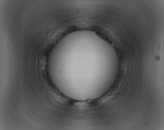 X0000088850133200706291504