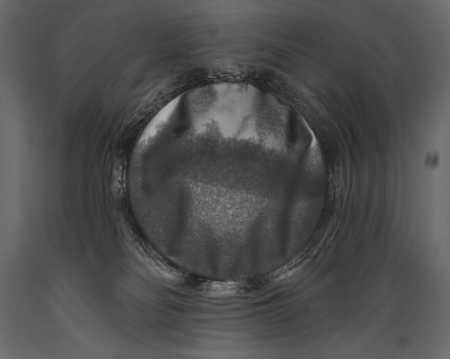 X0000088850134200706291504