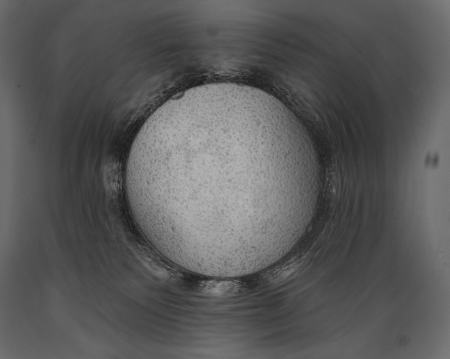 X0000088850135200706291504