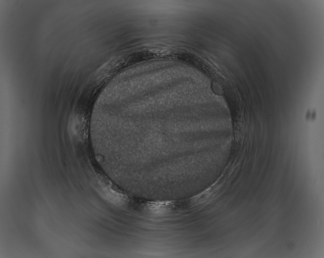 X0000088850136200706291504