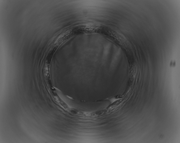 X0000088850137200706291504