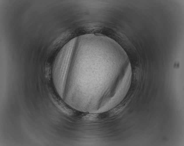 X0000088850138200706291504