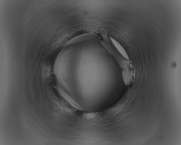 X0000088850139200706291504