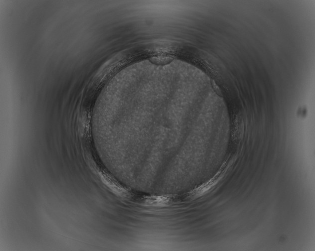 X0000088850140200706291504