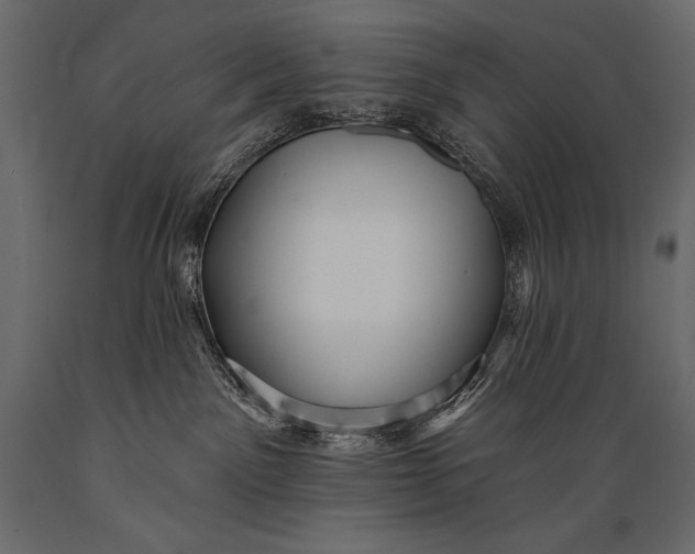 X0000088850141200706291504