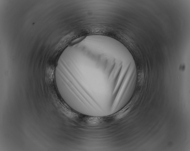 X0000088850142200706291504