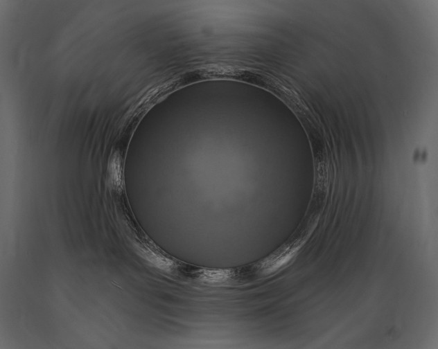 X0000088850143200706291504