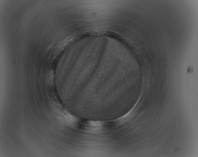 X0000088850144200706291504