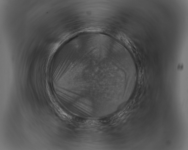 X0000088850145200706291503