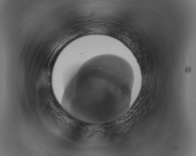 X0000088850146200706291503