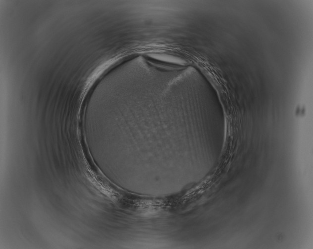 X0000088850147200706291503