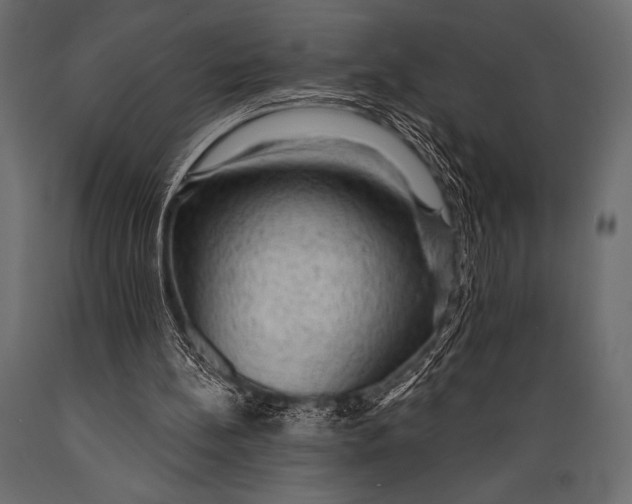 X0000088850148200706291503