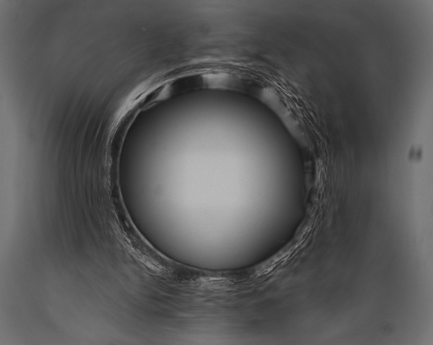 X0000088850150200706291503