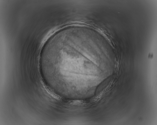 X0000088850151200706291503