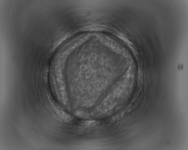 X0000088850153200706291503