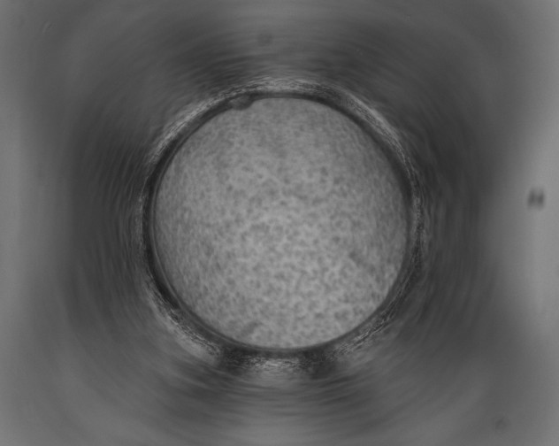 X0000088850155200706291503