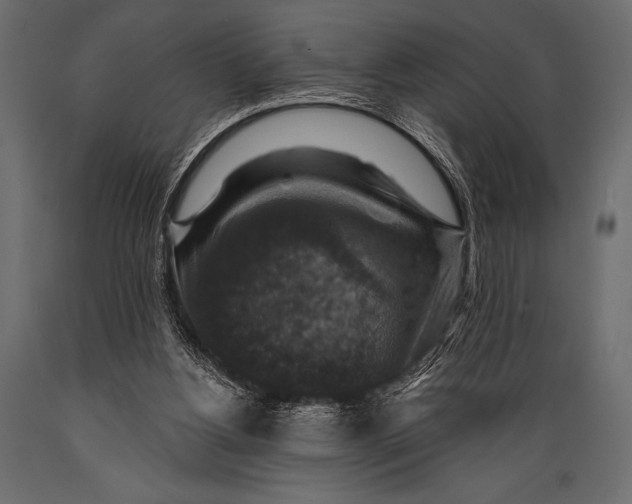 X0000088850156200706291503