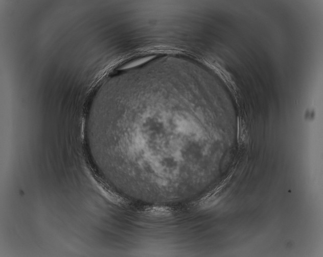 X0000088850157200706291503