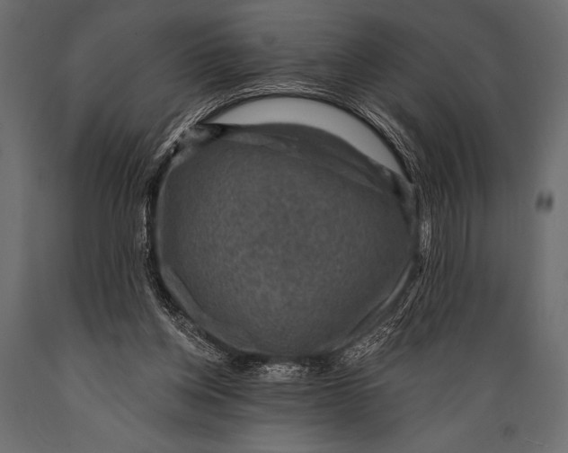 X0000088850158200706291503