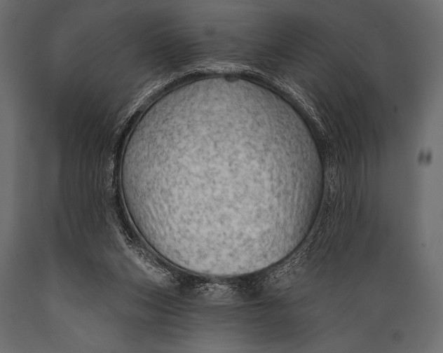 X0000088850159200706291503