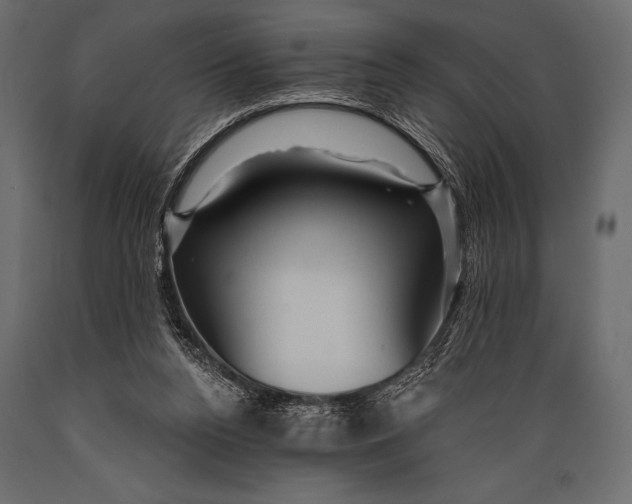 X0000088850160200706291503