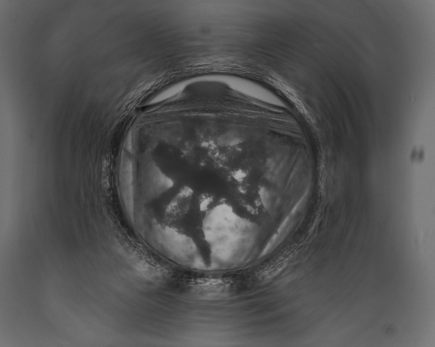 X0000088850161200706291503