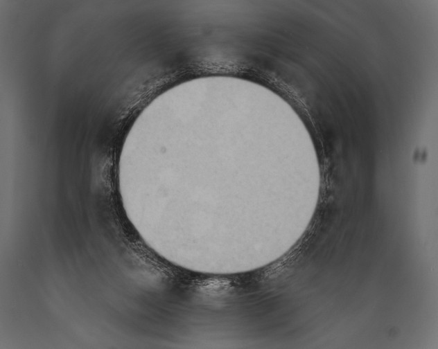 X0000088850162200706291503