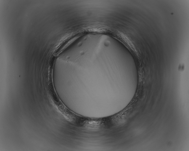 X0000088850163200706291503