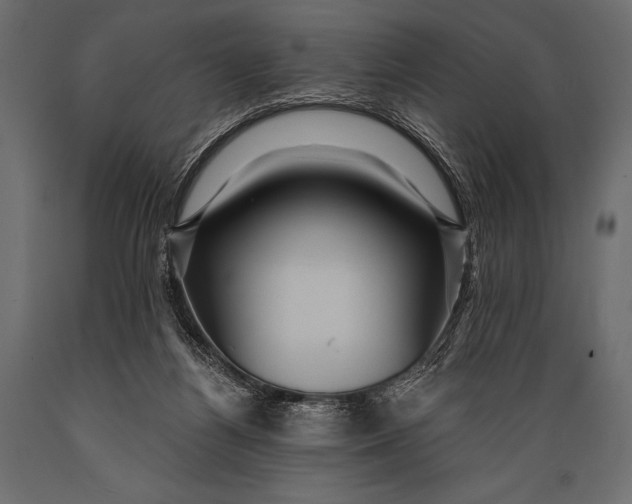 X0000088850164200706291503