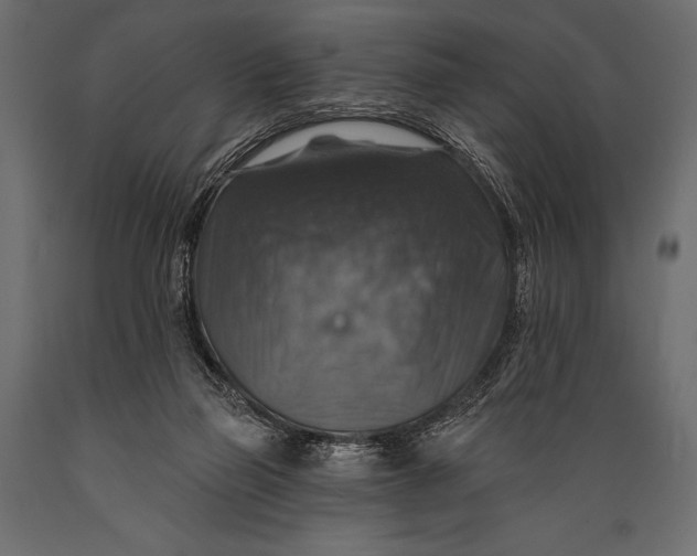 X0000088850165200706291503