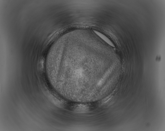 X0000088850166200706291503