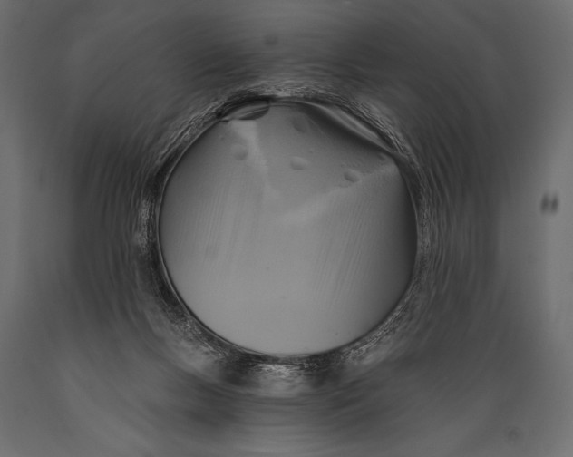 X0000088850167200706291503