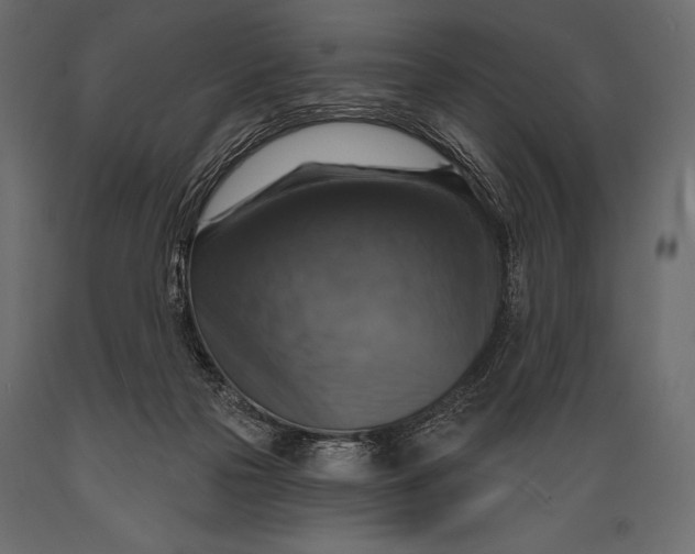 X0000088850169200706291503