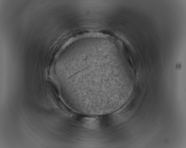 X0000088850170200706291503