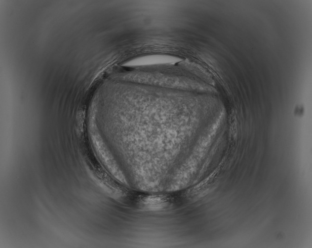 X0000088850171200706291503