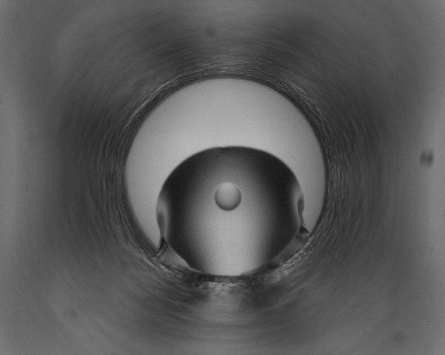 X0000088850172200706291503