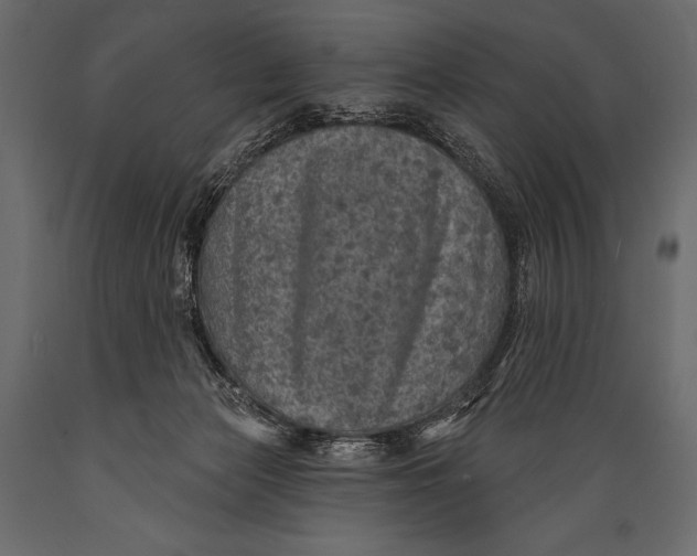 X0000088850173200706291503