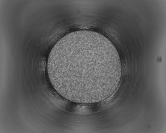 X0000088850174200706291503