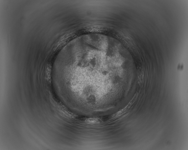 X0000088850175200706291503