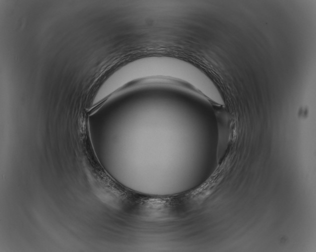 X0000088850176200706291503