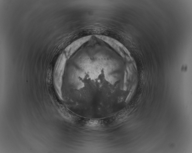 X0000088850177200706291503