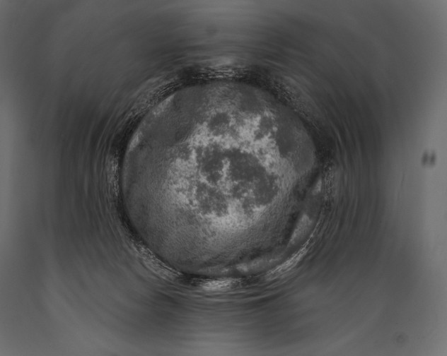 X0000088850178200706291503