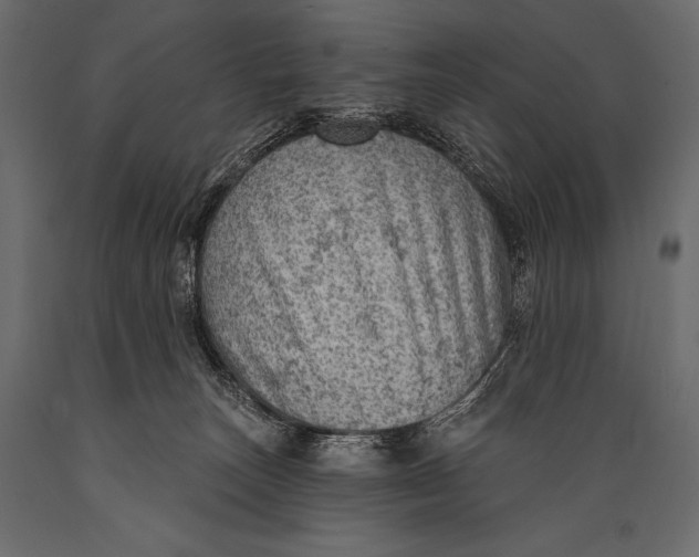 X0000088850179200706291503