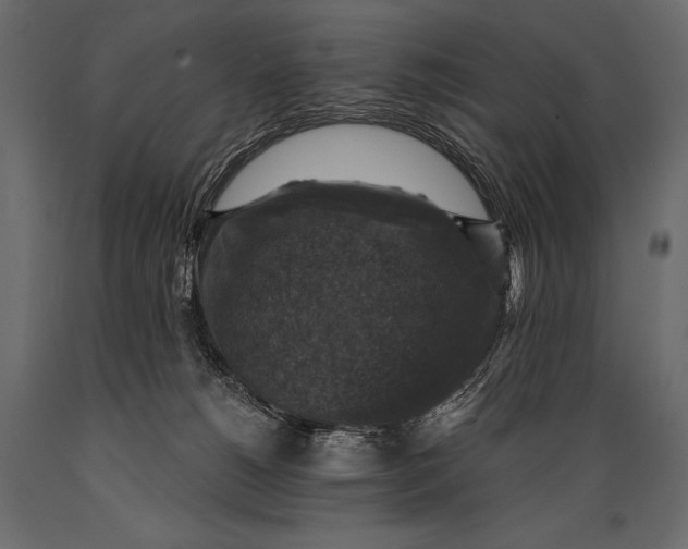 X0000088850180200706291503