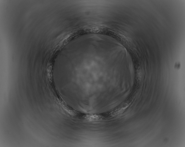 X0000088850181200706291503