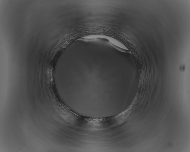 X0000088850182200706291503